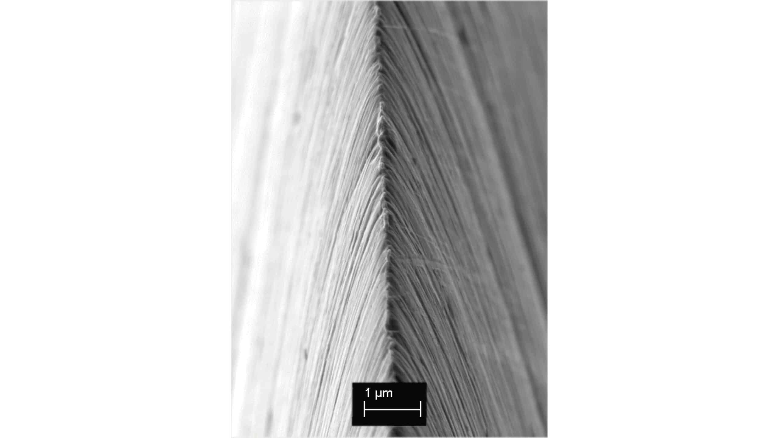 Slide 21